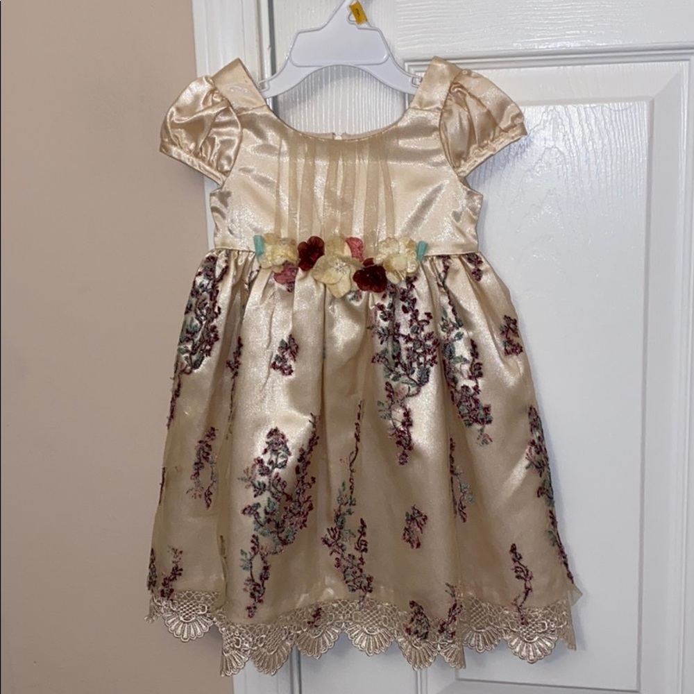 Bonnie baby 18m champagne dress embroidered detail